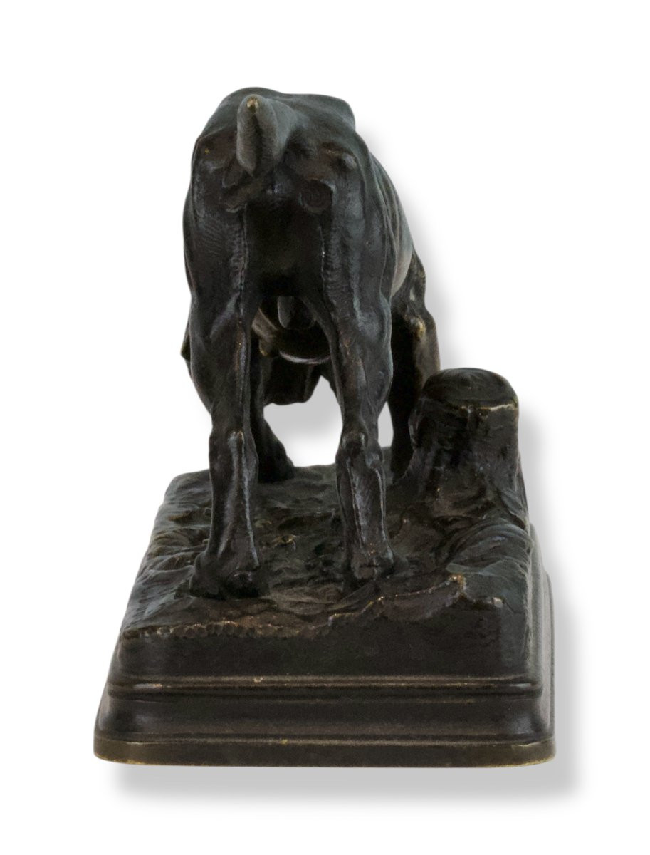 Alfred Dubucand - Cane Da Caccia In Bronzo - Francia XIX Secolo-photo-2